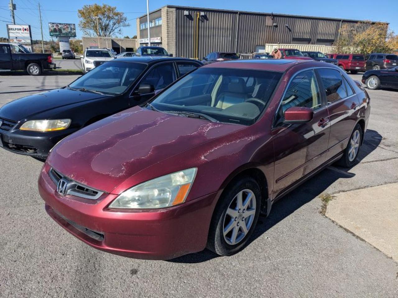 Used 2003 Honda Accord EXL V6 for sale in Kingston, ON