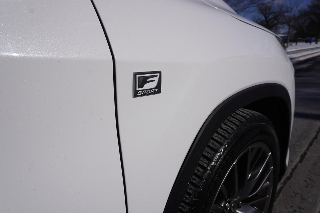 2019 Lexus RX 350 F-SPORT / HEADS UP DISPLAY / STUNNING COMBO - Photo #7