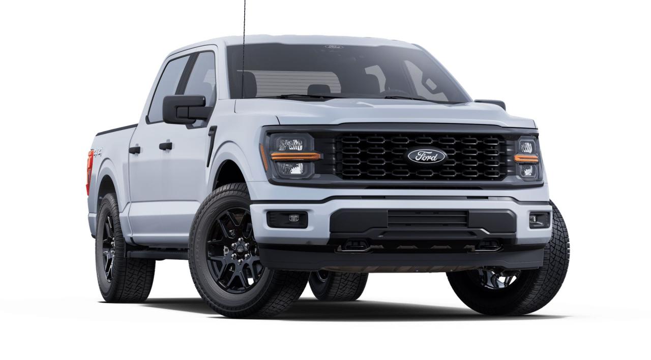 2025 Ford F-150 STX® Photo