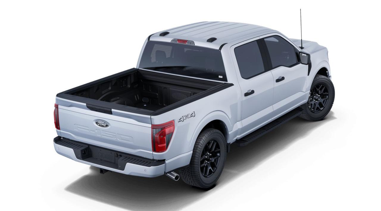 2025 Ford F-150 STX® Photo