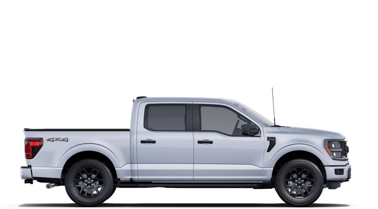 2025 Ford F-150 STX® Photo4