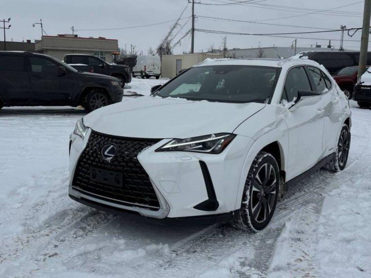 Used 2022 Lexus UX UX 250h | Hybrid | Luxury Pkg | Leather | Sunroof | Cooled + Heated Seats | Heated Steering & more!! for sale in Guelph, ON