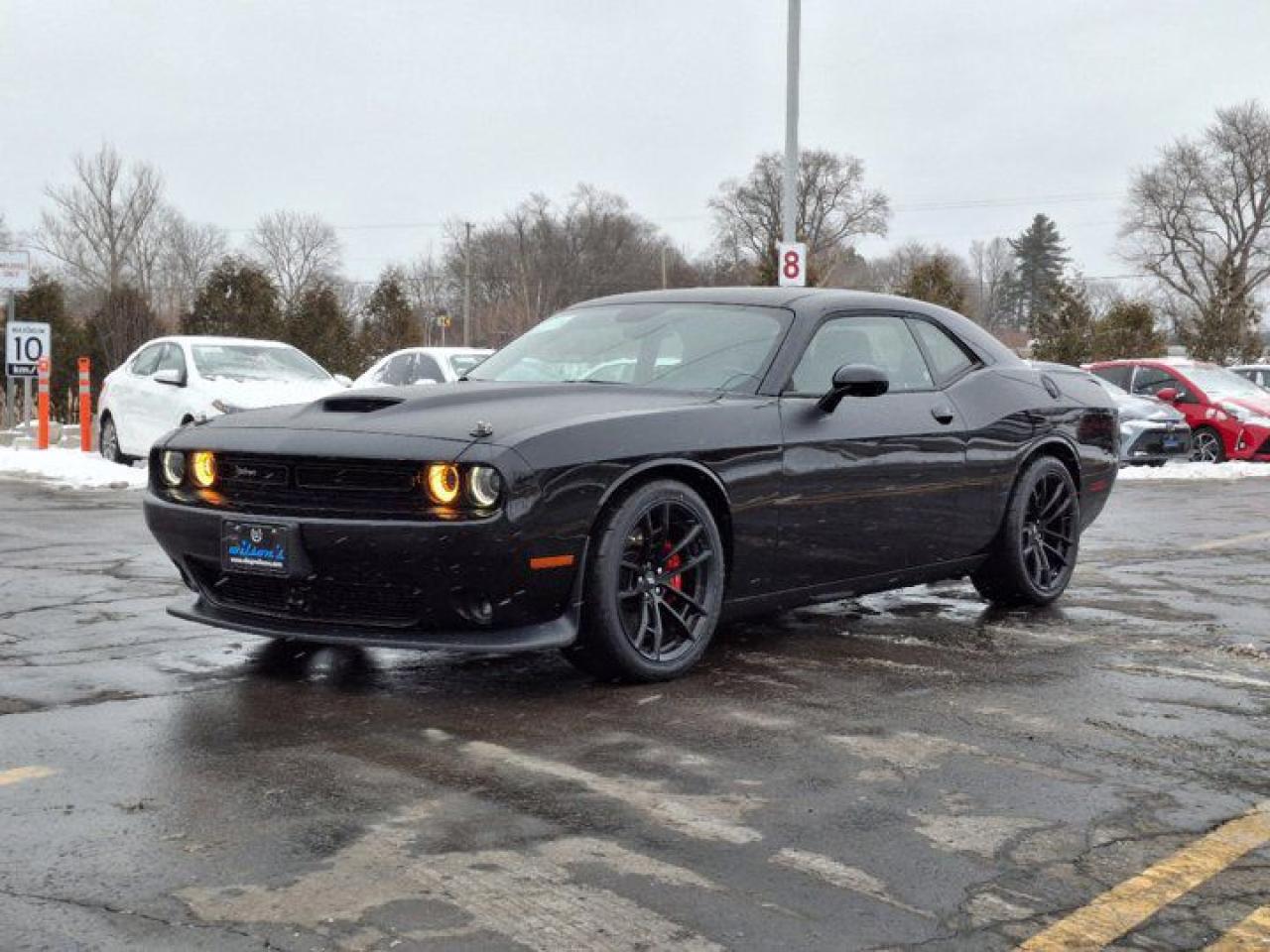 Used 2023 Dodge Challenger R/T | T/A Pkg | Plus Pkg | harman/kardon | Performance Plus + Handling Pkgs | Tech Pkg & more!! for sale in Guelph, ON