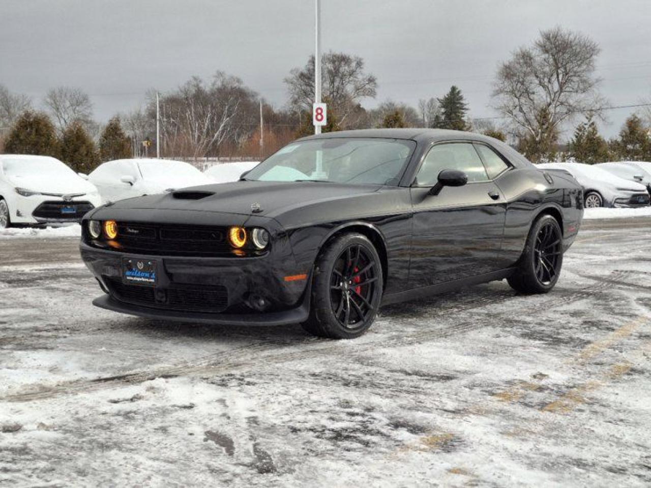 Used 2023 Dodge Challenger R/T | T/A Pkg | Plus Pkg | harman/kardon | Performance Plus + Handling Pkgs | New Tires | for sale in Guelph, ON