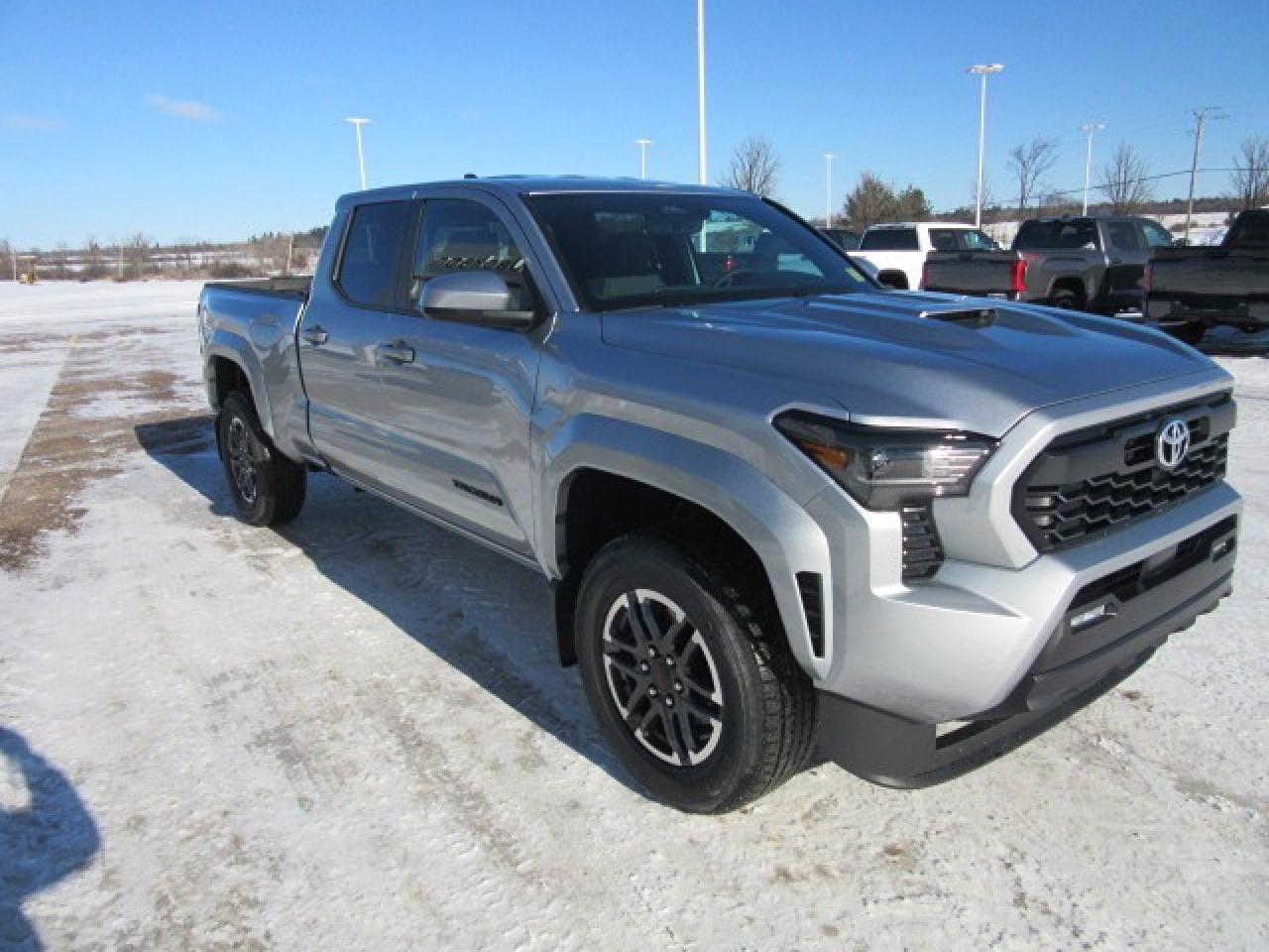 2024 Toyota Tacoma BASE Double Cab TRD Sport Photo