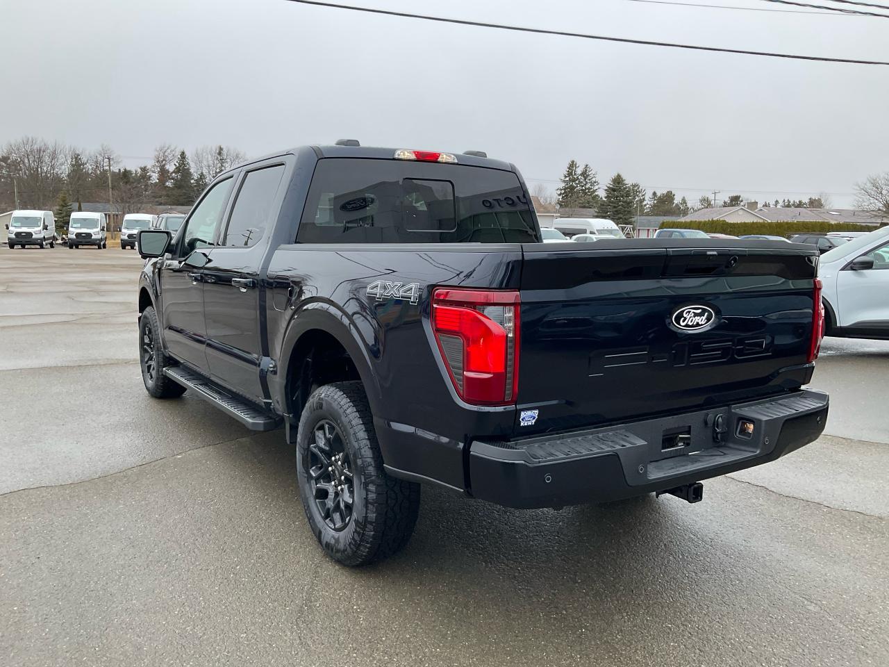 2025 Ford F-150 XLT Photo5