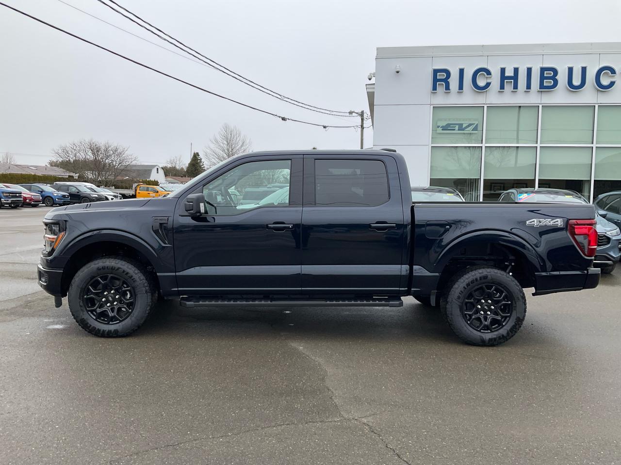 2025 Ford F-150 XLT Photo5