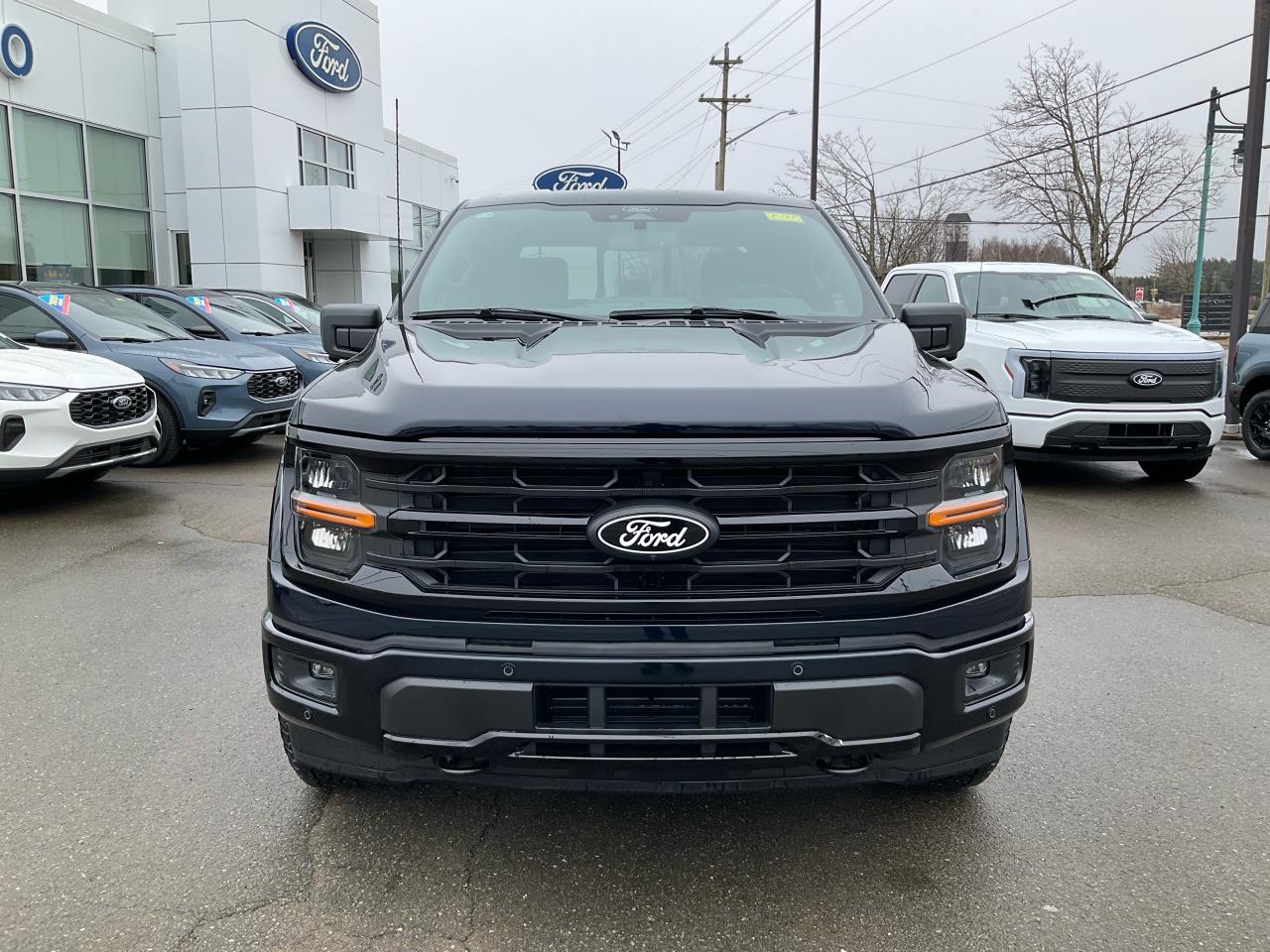 2025 Ford F-150 XLT Photo1