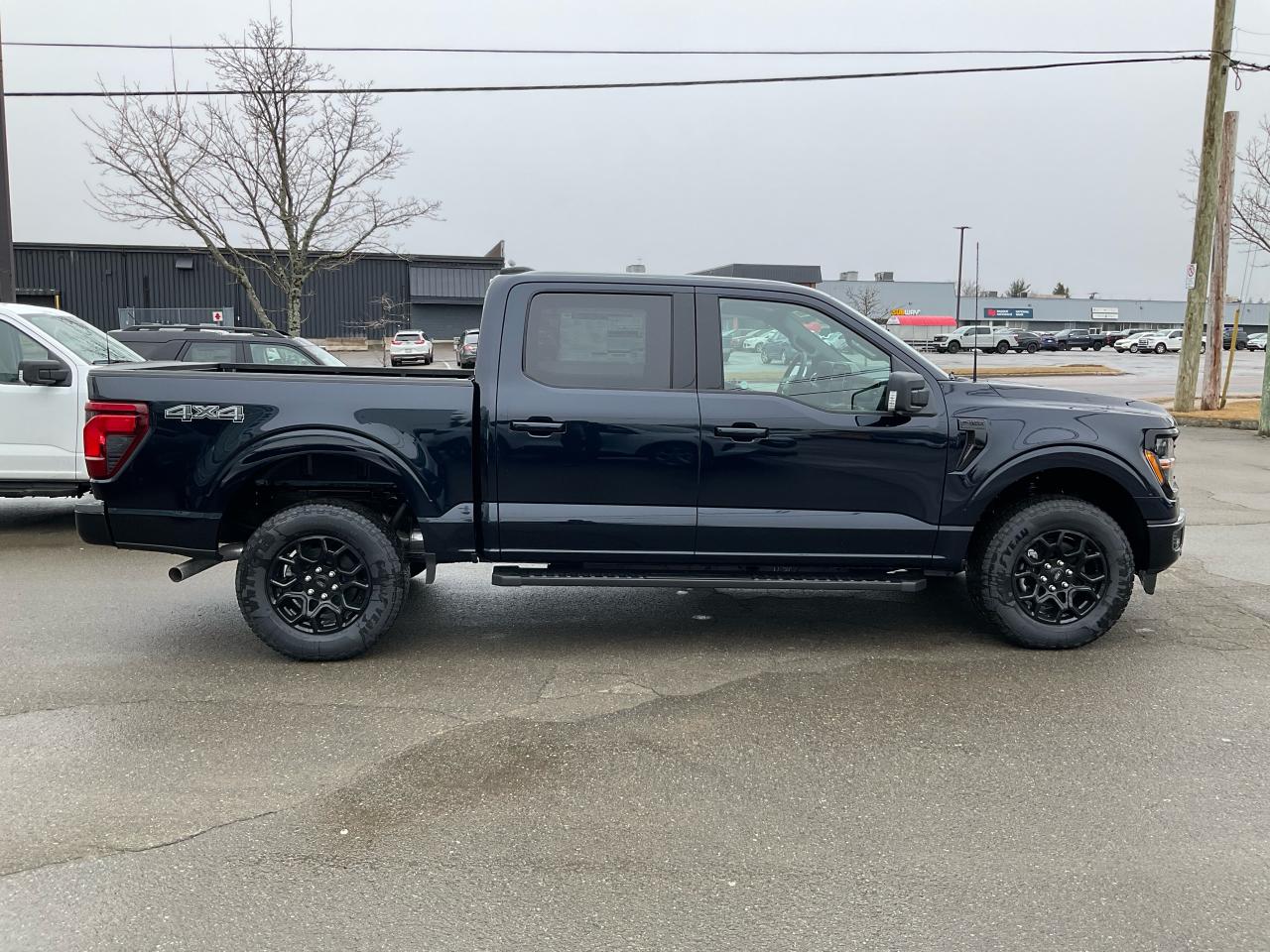 2025 Ford F-150 XLT Photo5