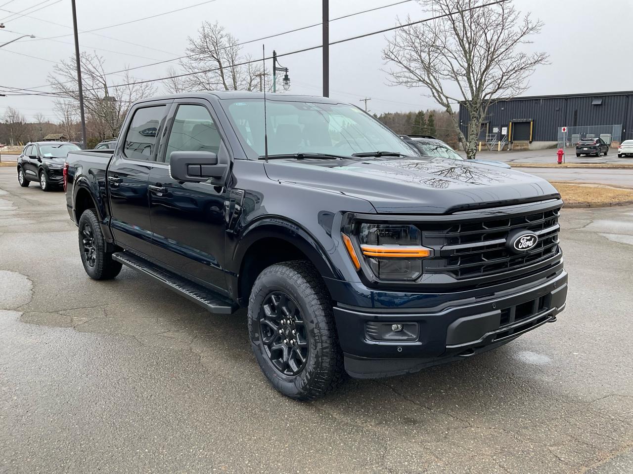 2025 Ford F-150 XLT Photo2