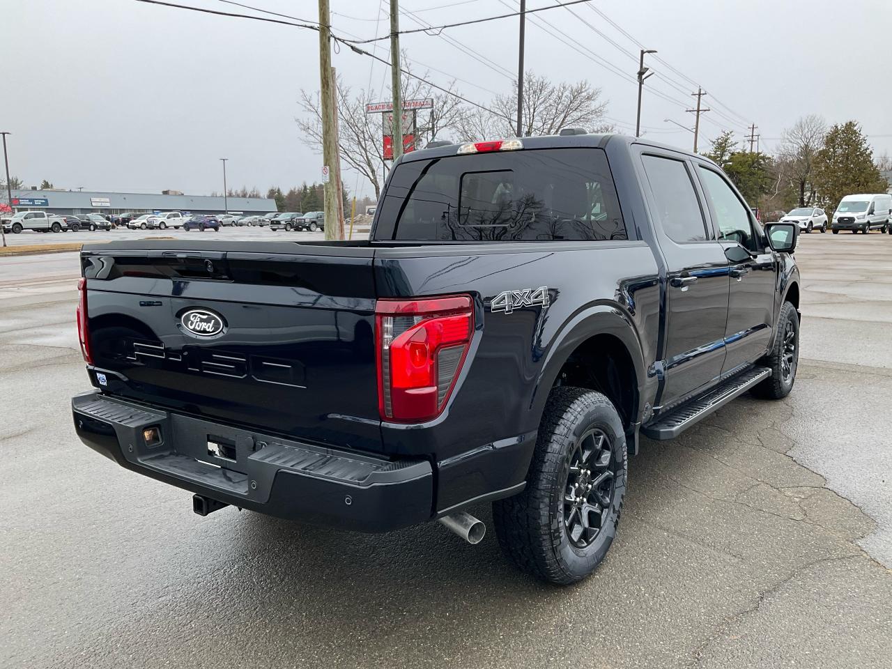 2025 Ford F-150 XLT Photo3