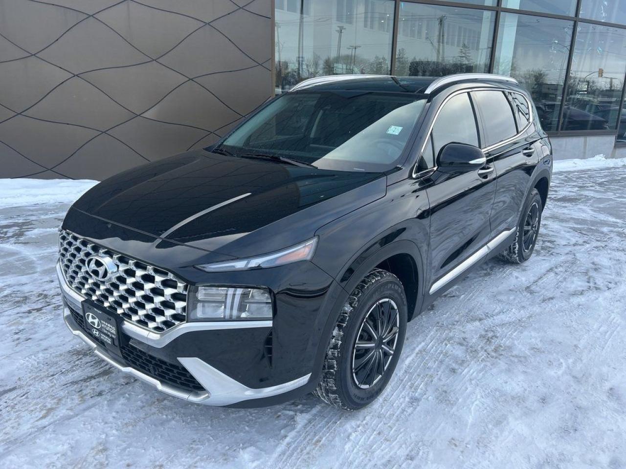 Used 2023 Hyundai Santa Fe HYBRID Luxury for sale in Winnipeg, MB