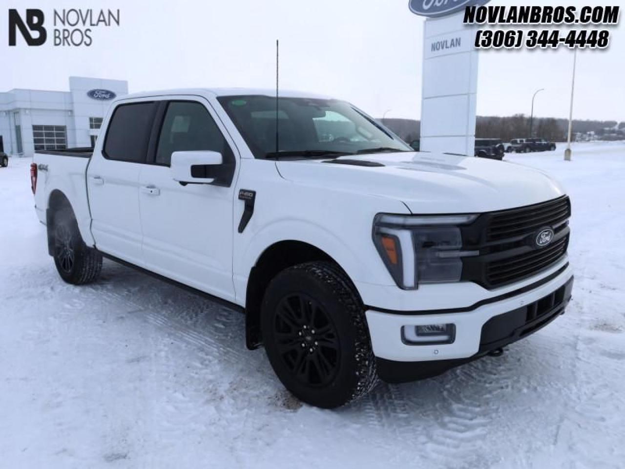 New 2025 Ford F-150 PLATINUM for sale in Paradise Hill, SK