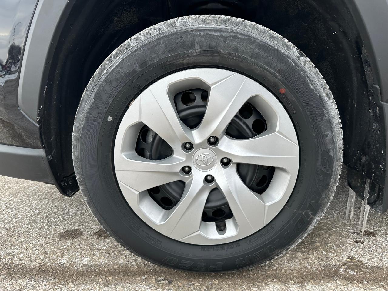 2023 Toyota RAV4 LE Photo