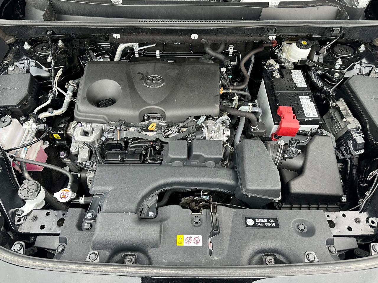 2023 Toyota RAV4 LE Photo