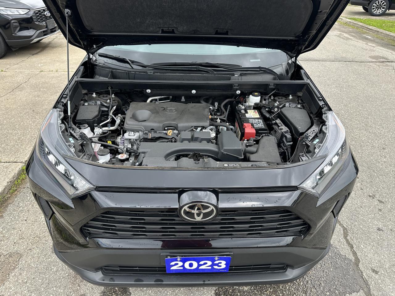 2023 Toyota RAV4 LE Photo