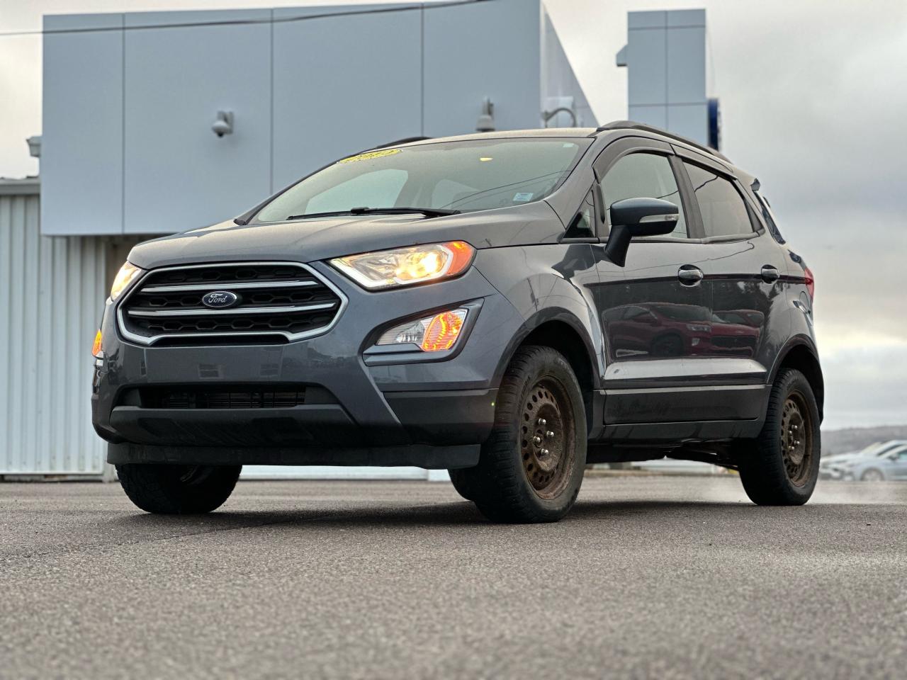 2019 Ford EcoSport SE 4WD Photo