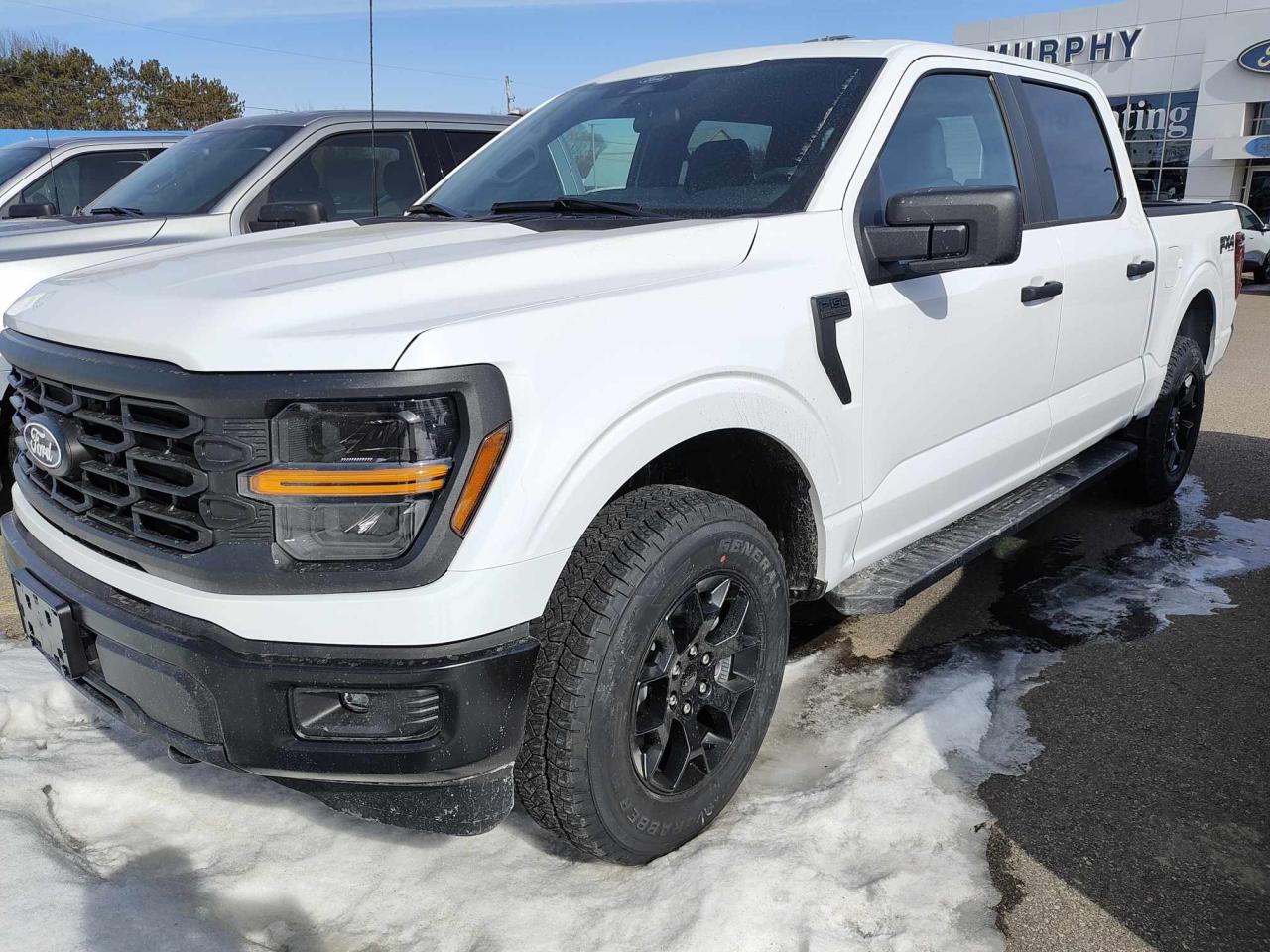 2025 Ford F-150 STX