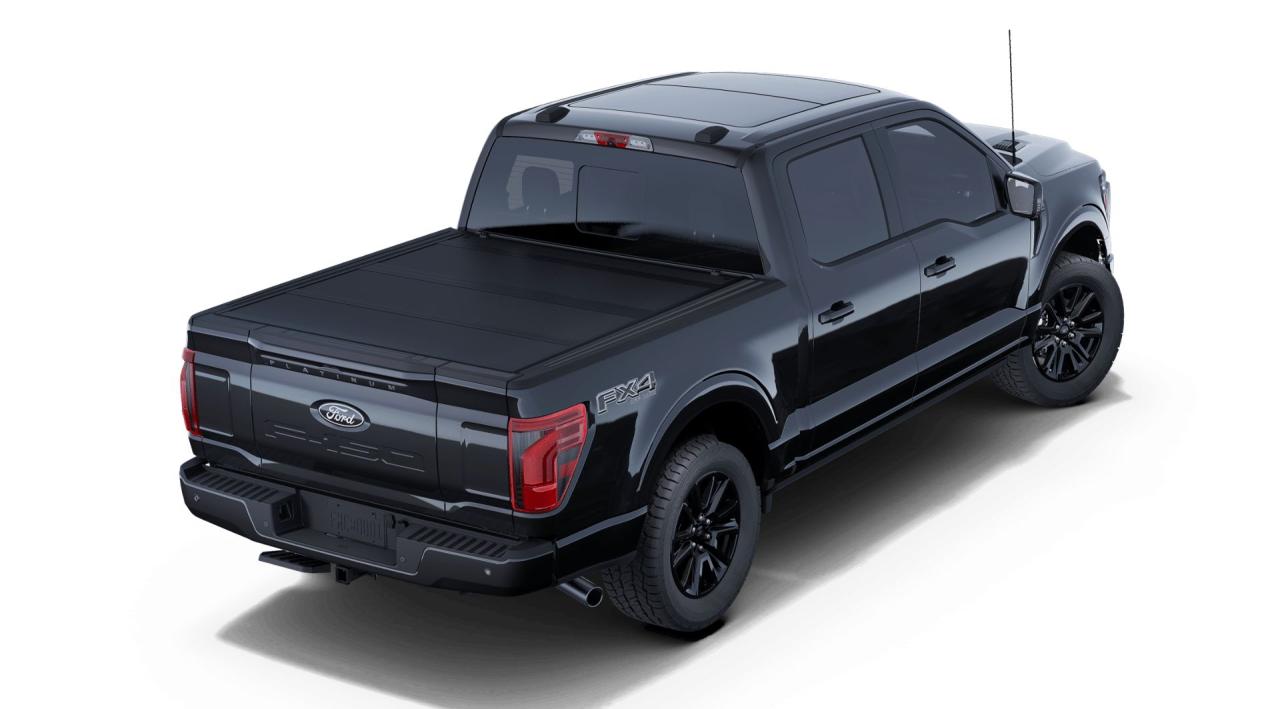 2025 Ford F-150 Platinum Photo