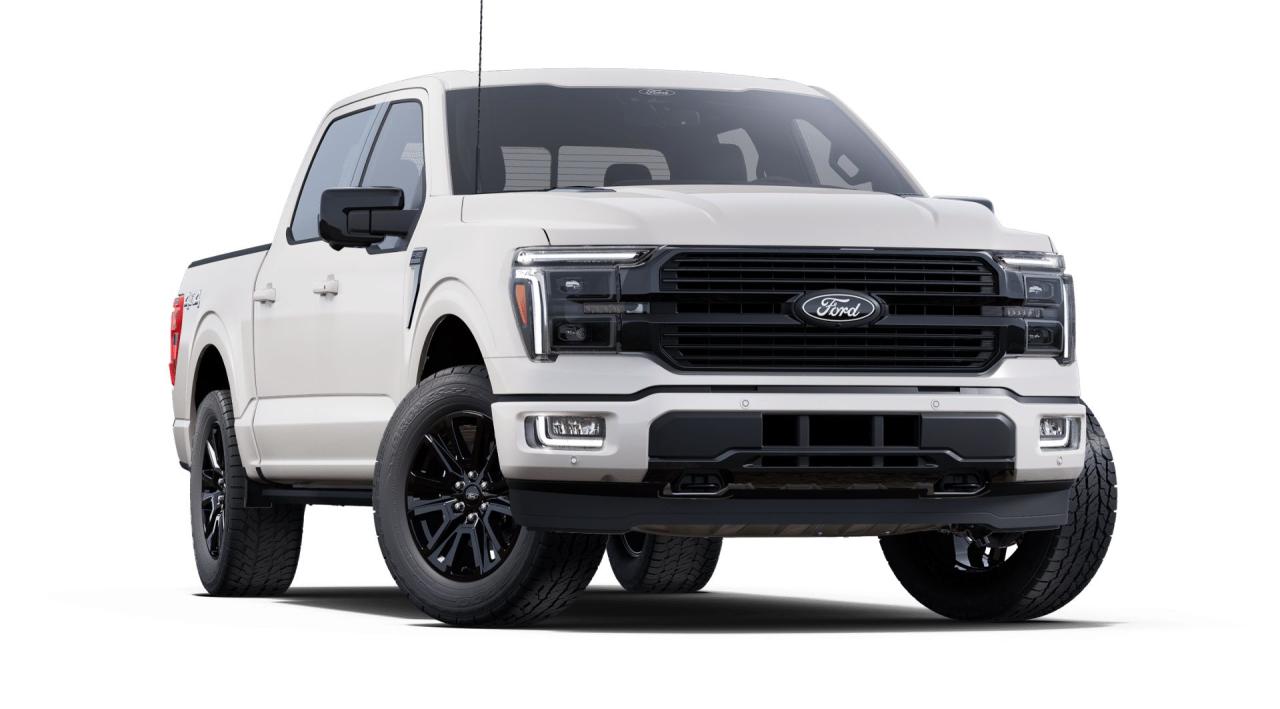 2025 Ford F-150 4x4 Platinum-145 Photo5