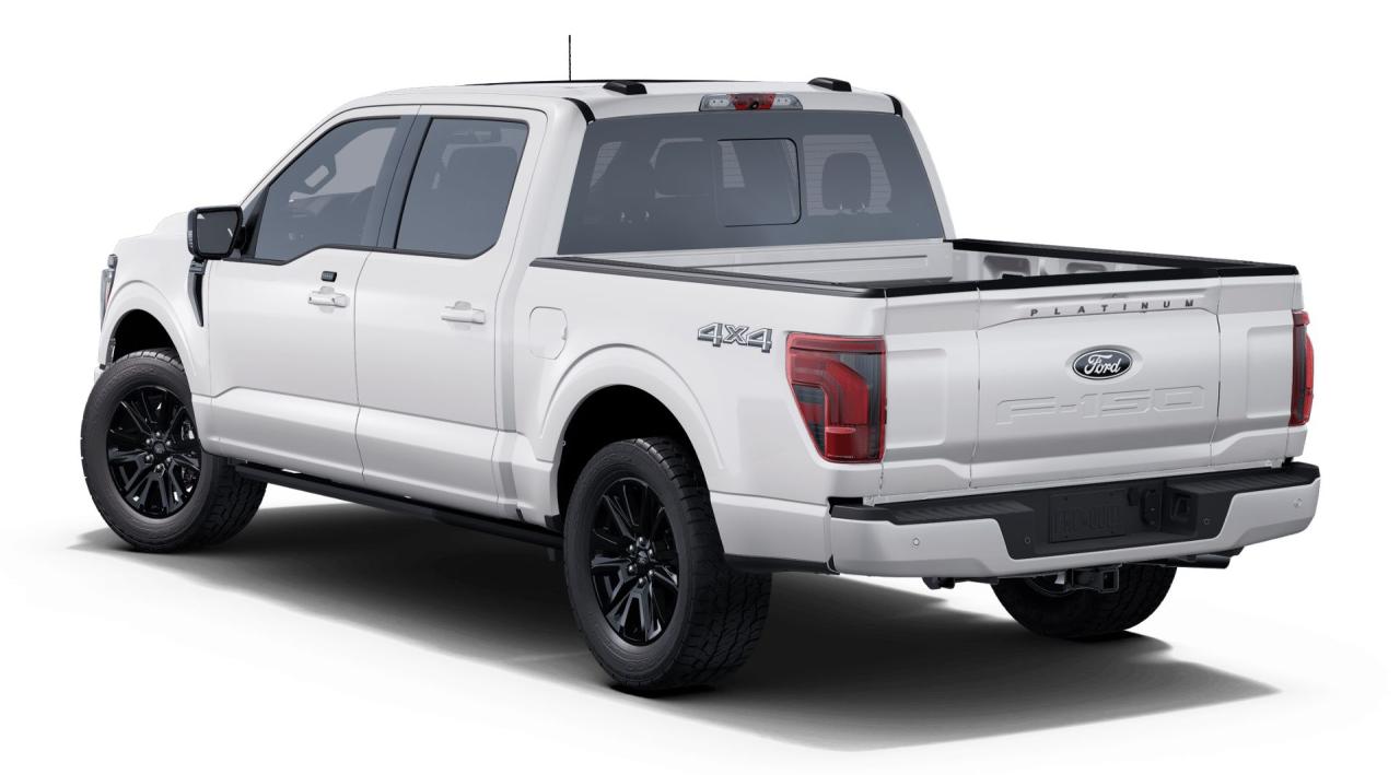 2025 Ford F-150 4x4 Platinum-145 Photo5