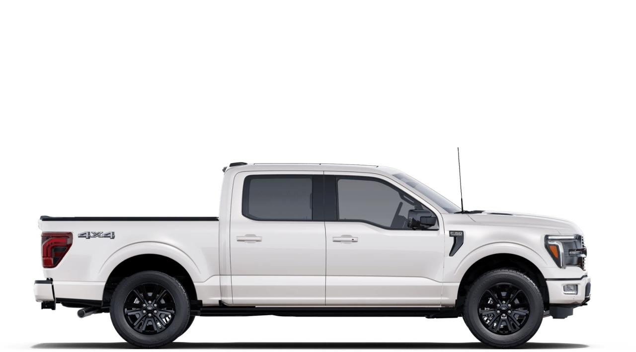 2025 Ford F-150 4x4 Platinum-145 Photo4