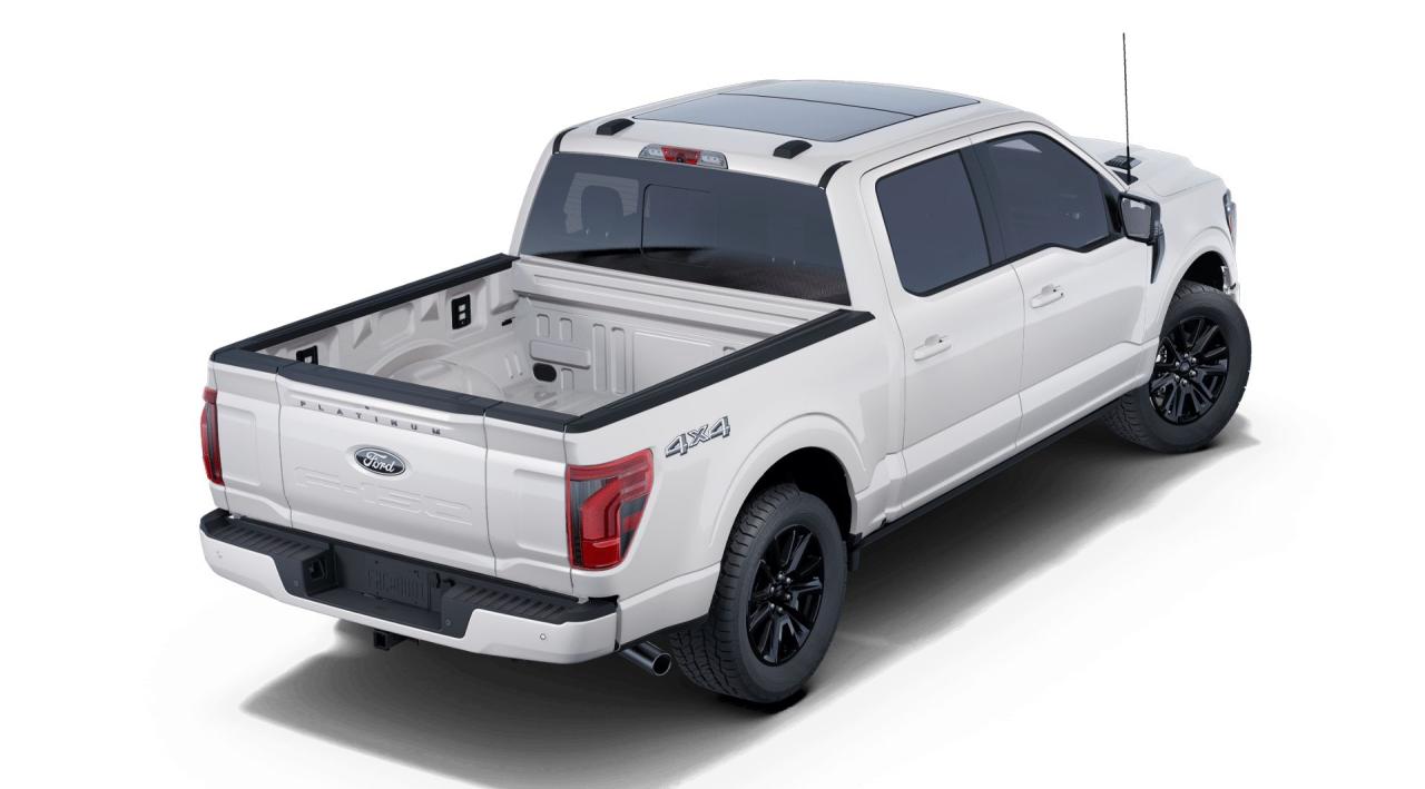 2025 Ford F-150 4x4 Platinum-145 Photo
