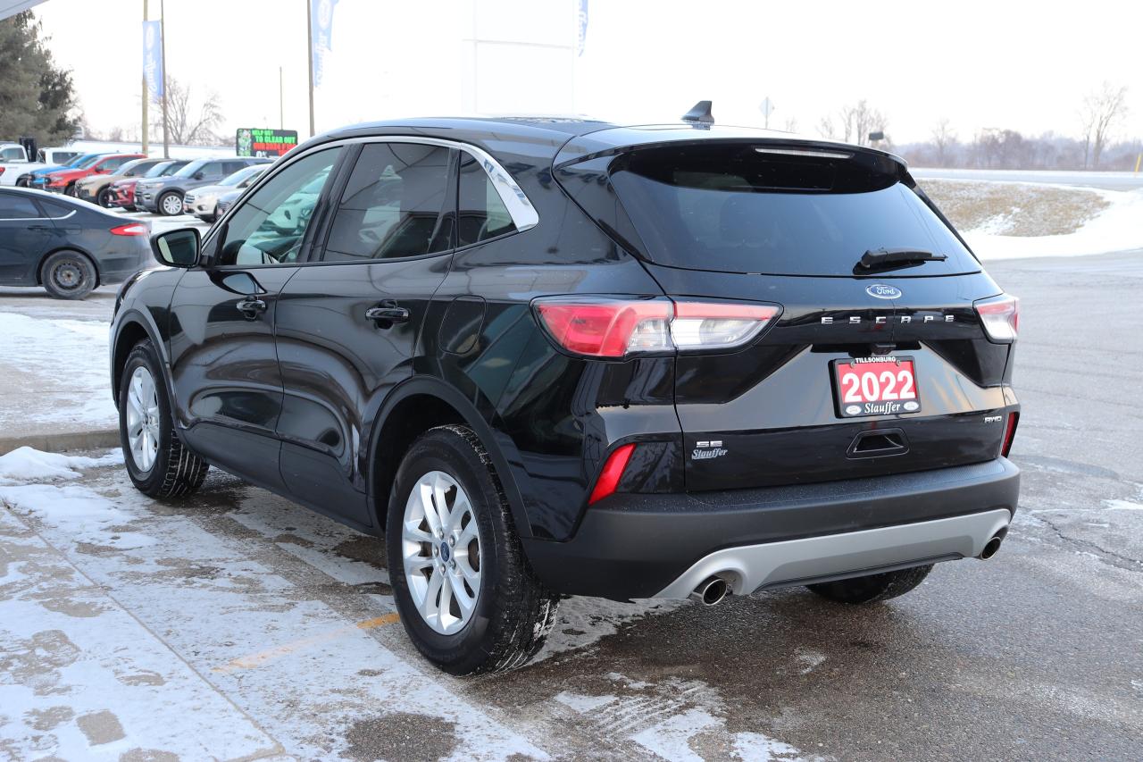 2022 Ford Escape SE AWD Photo