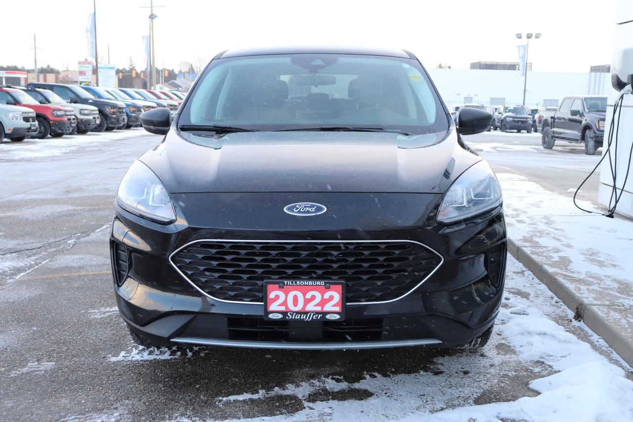 2022 Ford Escape SE AWD Photo4