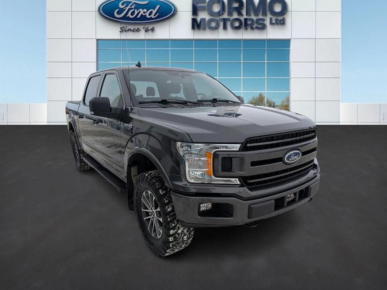 2019 Ford F-150 XLT Photo