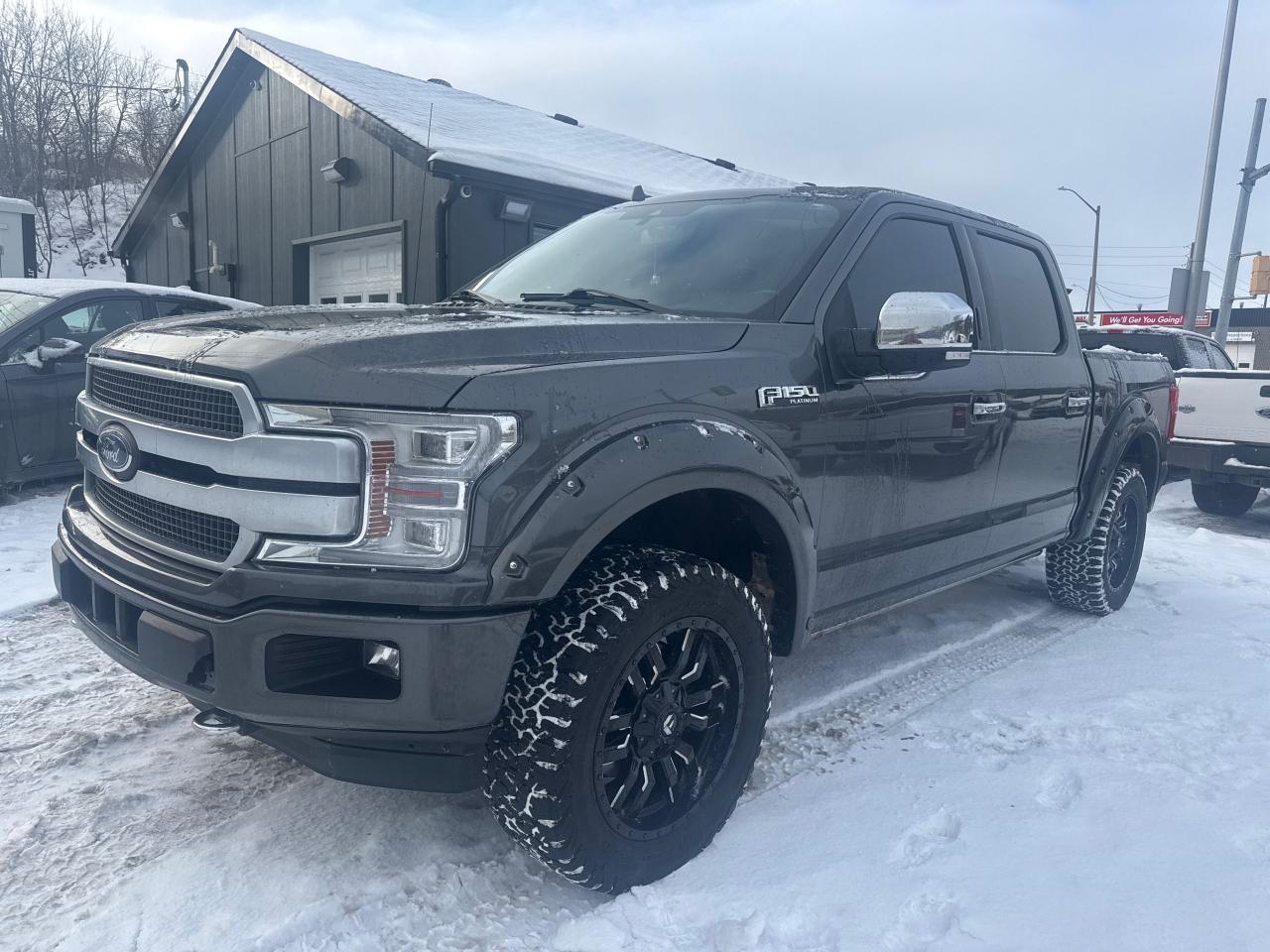 Used 2019 Ford F-150 PLATINUM for sale in Greater Sudbury, ON