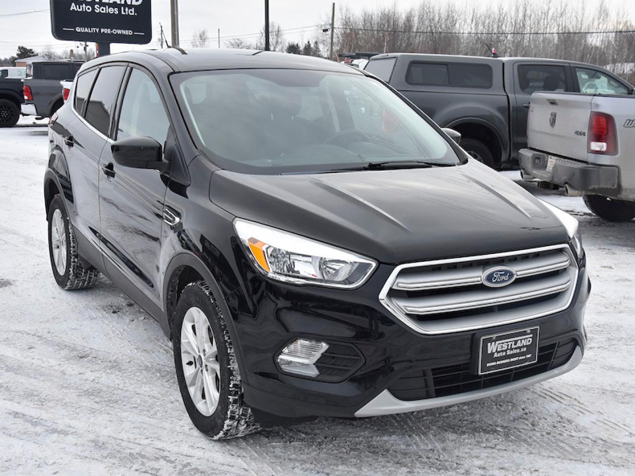 2019 Ford Escape SE - Photo #2