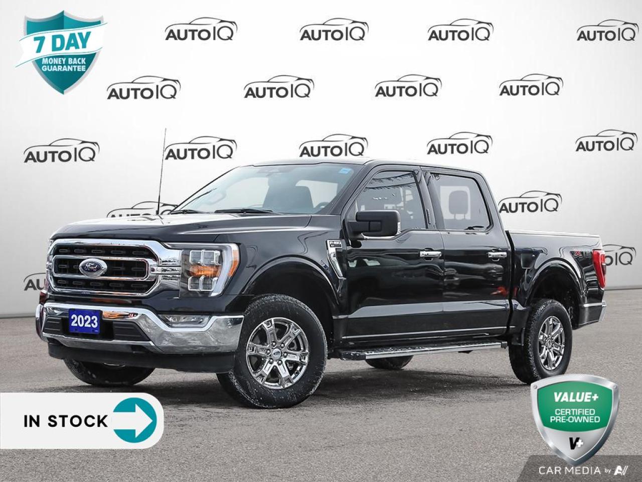 Used 2023 Ford F-150 XLT NAV | XTR PKG for sale in St Catharines, ON