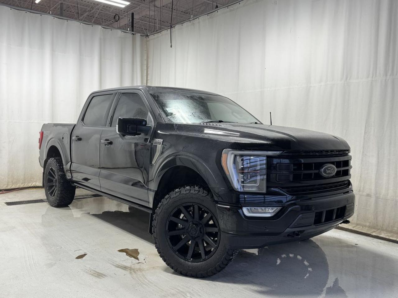 Used 2022 Ford F-150 PLATINUM for sale in Sherwood Park, AB