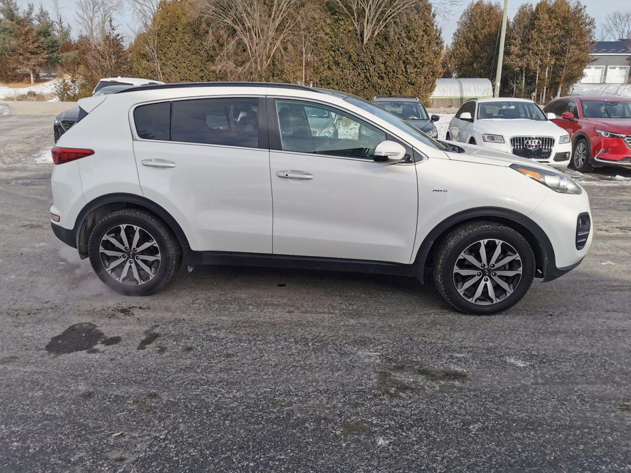 2019 Kia Sportage EX - Photo #5