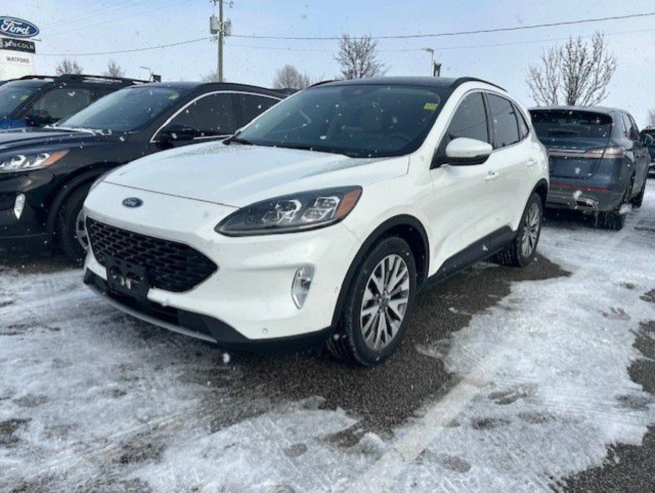 Used 2020 Ford Escape Titanium TI for sale in Watford, ON