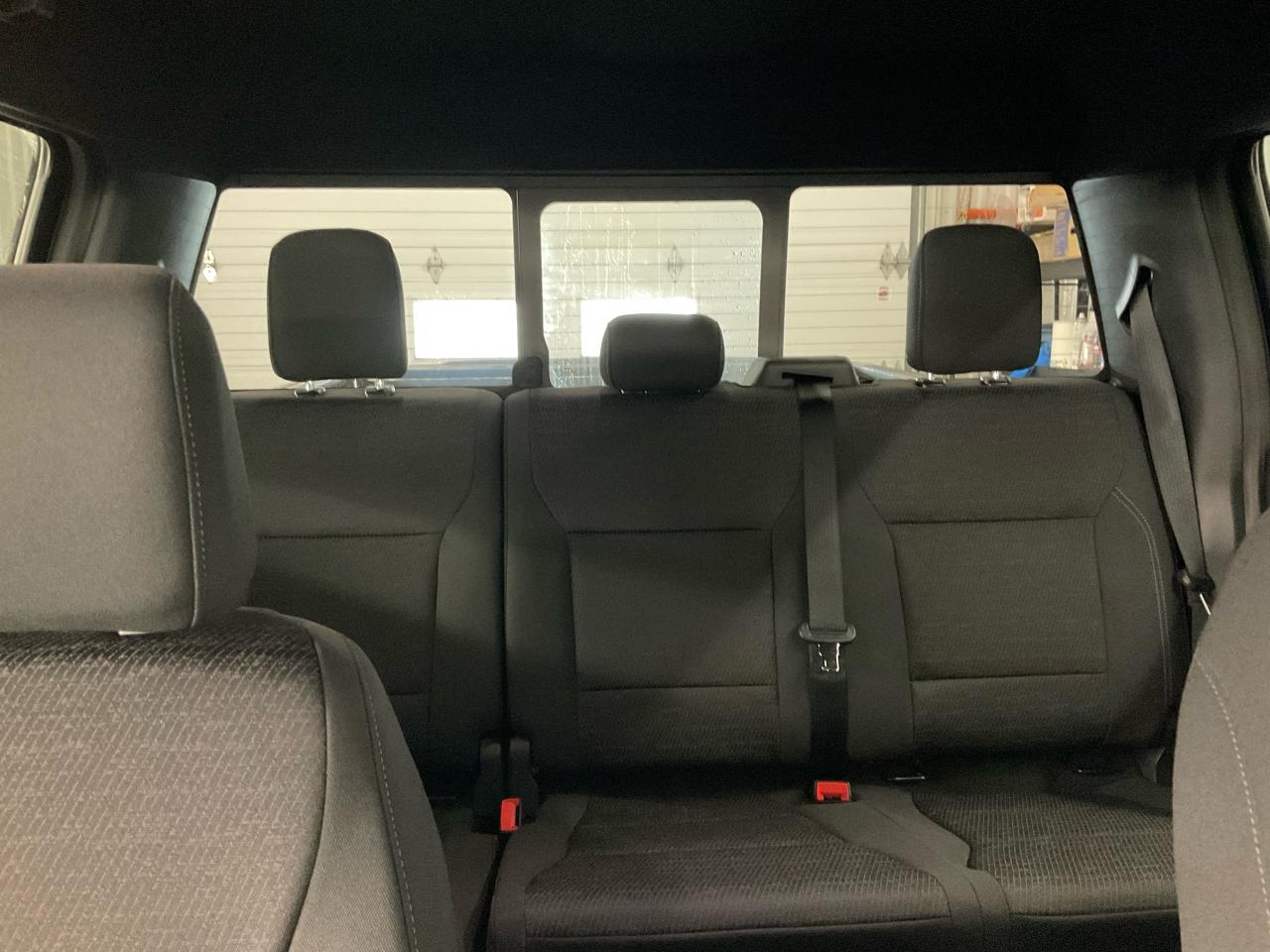 2025 Ford F-150 XLT Photo5