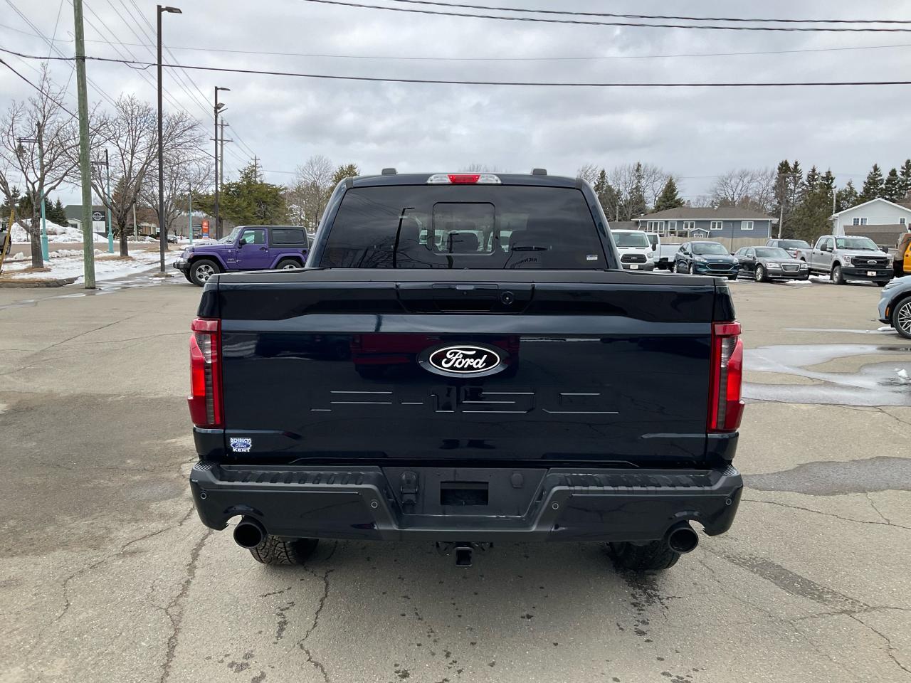 2025 Ford F-150 XLT Photo5