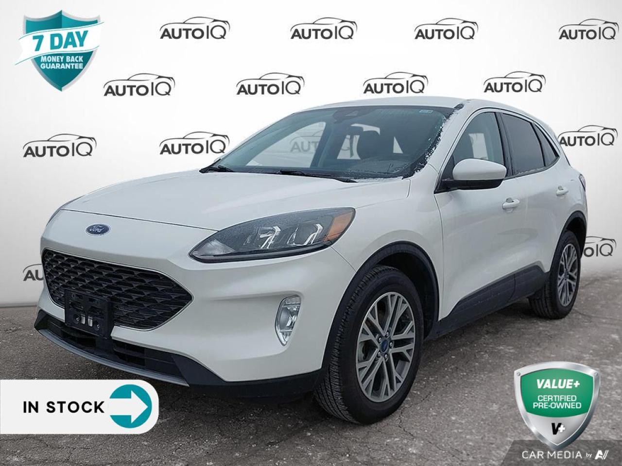 Used 2022 Ford Escape SEL - FORD CO-PILOT ASSIST for sale in Hamilton, ON