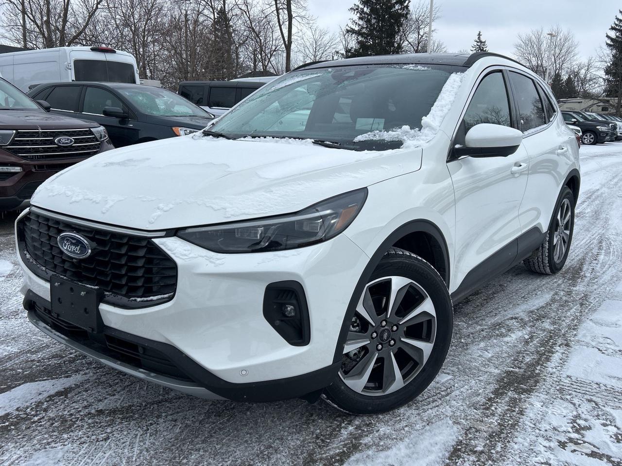 New 2025 Ford Escape Platinum  - Sunroof for sale in Caledonia, ON