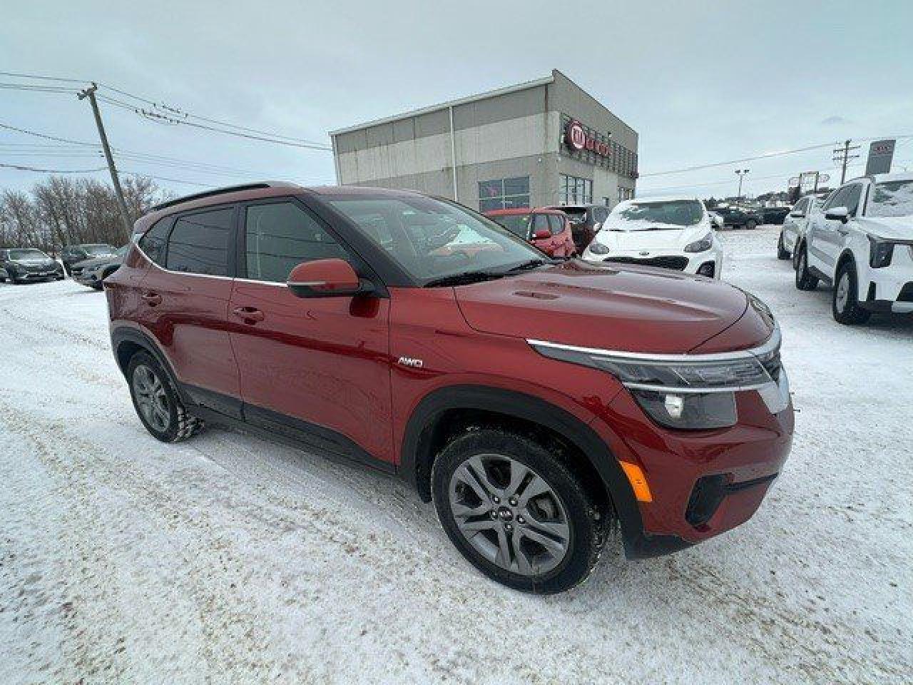 Used 2021 Kia Seltos EX for sale in Brandon, MB