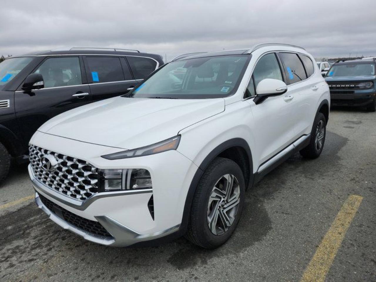 Used 2023 Hyundai Santa Fe Preferred  Trend AWD | Leather | Pano Sunroof | Nav | Adaptive Cruise | CarPlay + Android& more!! for sale in Guelph, ON