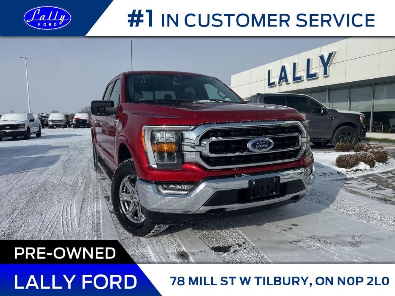 Used 2022 Ford F-150 XLT, Nav, Heated Seats, One Owner! for sale in Tilbury, ON