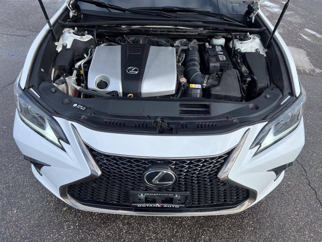 2019 Lexus ES 350 F-Sport - Photo #6