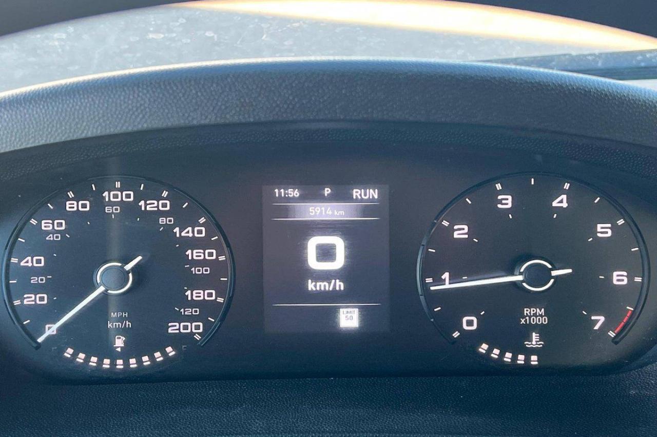 12117231