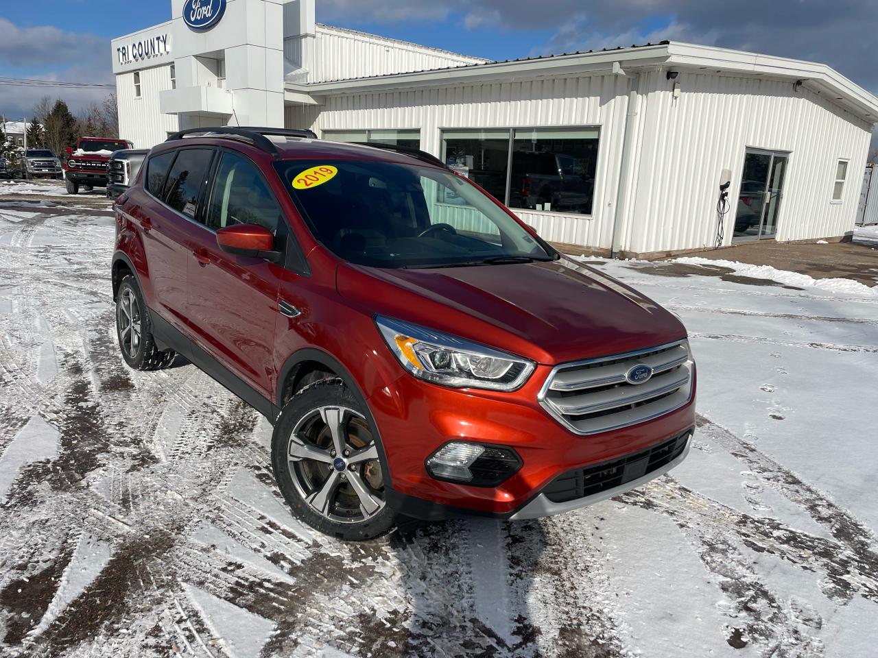 Used 2019 Ford Escape SEL for sale in Tatamagouche, NS