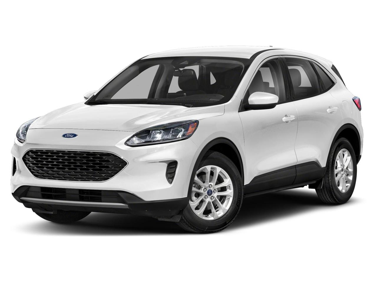 Used 2021 Ford Escape SE for sale in Camrose, AB