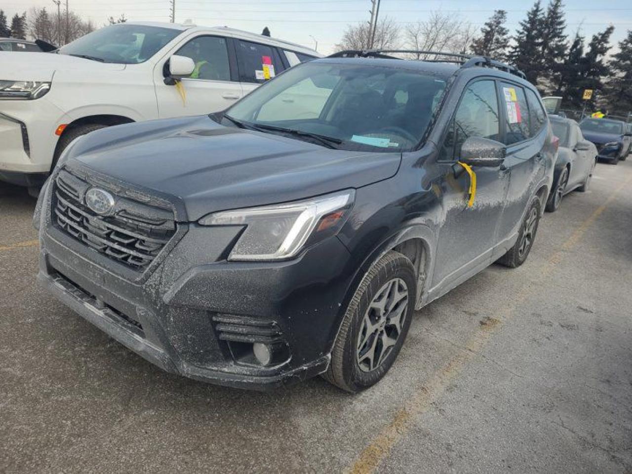 Used 2023 Subaru Forester Touring AWD | Pano Roof | Heated Seats + Steering | Adaptive Cruise | Power Tailgate | Carplay for sale in Guelph, ON