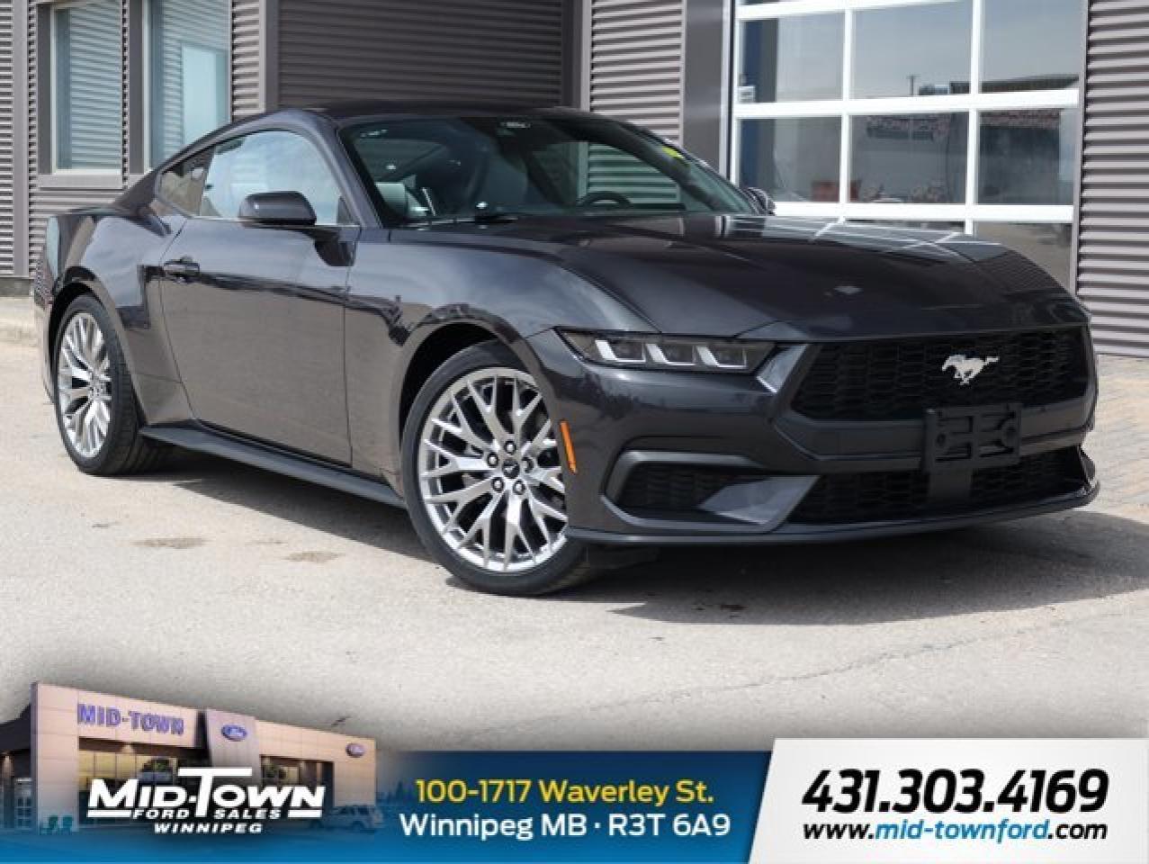 New 2024 Ford Mustang EcoBoost Premium | Ambient Lighting | Dual Zone Climate for sale in Winnipeg, MB