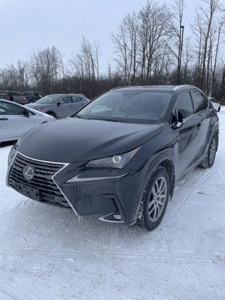 Used 2021 Lexus NX NX 300 Luxury AWD | Sunroof | Leather | Remote Start | Heated + Ventilated Seats | Heated Steering for sale in Guelph, ON